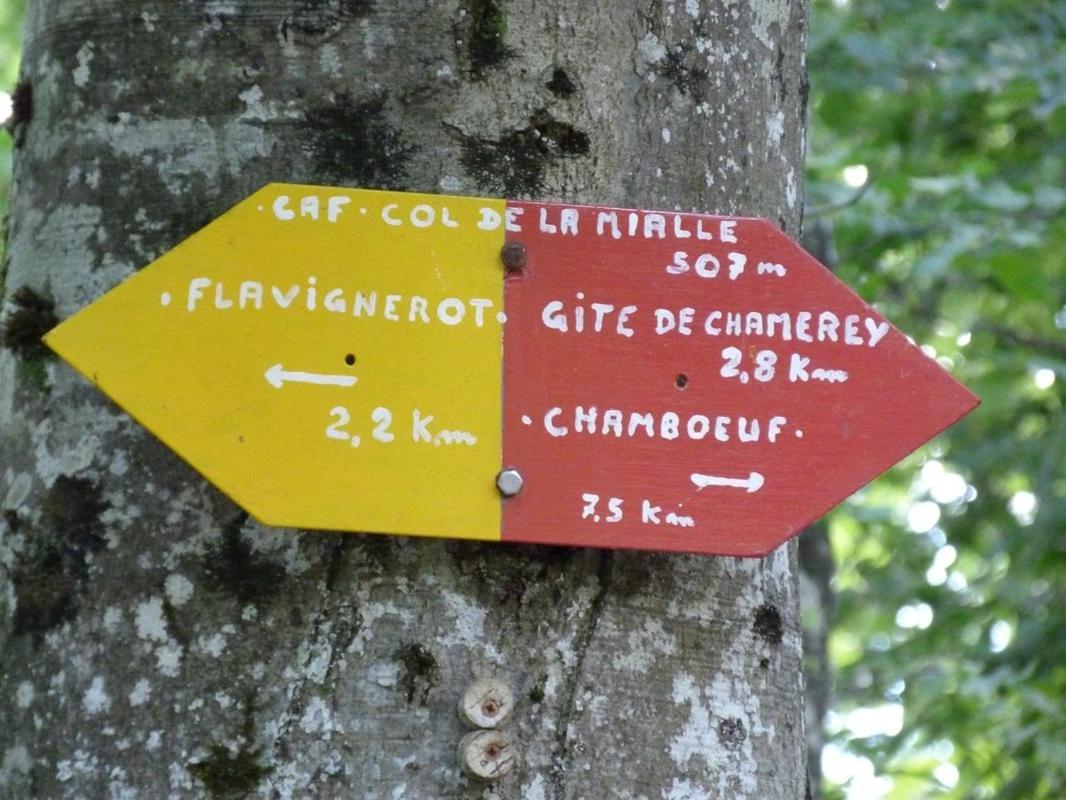 Flavignerot Le Flav - Charmant Appartement A 10 Mn De Dijon מראה חיצוני תמונה